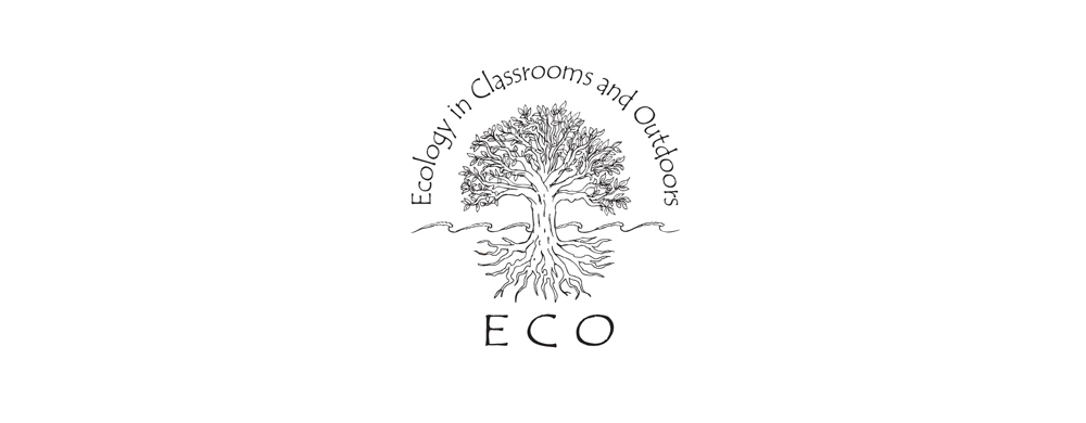 ECO logo